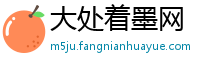 大处着墨网
